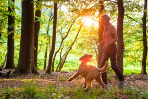 active senior woman walks with her dog through the forest